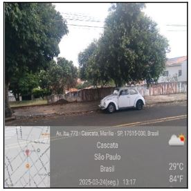 MARILIA – CASCATA