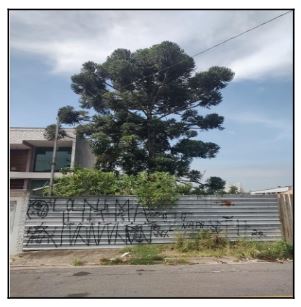 MAUA – VILA BOCAINA