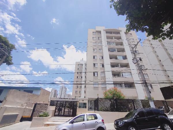 ED PAINEIRA