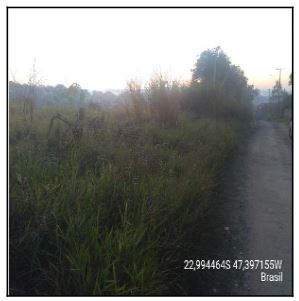 LOT JARDIM SANTA RITA DE CASSIA
