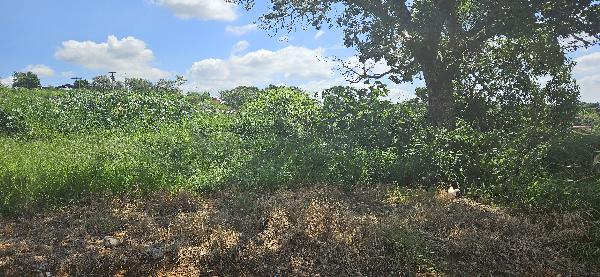 JARDIM SANTA RITA DE CASSIA