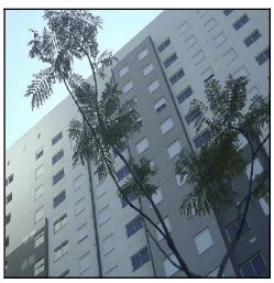 COND VIVAZ SANTO AMARO