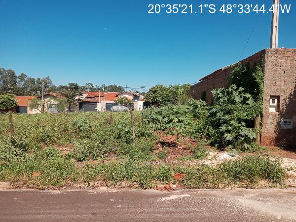 JARDIM DR LUIS SPINA