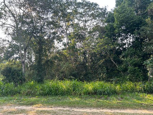 CRUZEIRO DO SUL – ZONA RURAL