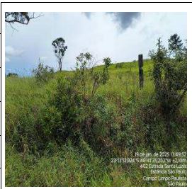 FAZENDA SANTA THEREZA