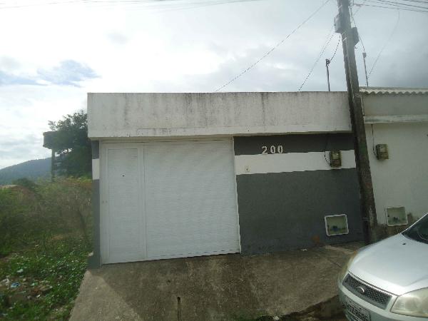 LOT PATO SELVAGEM