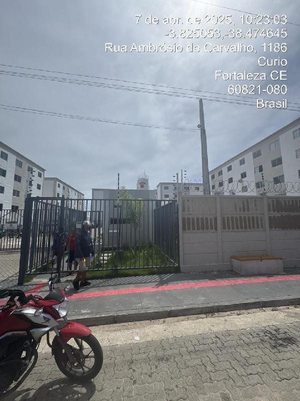 JARDIM DOS PÁSSAROS