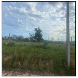IGUABA GRANDE – IGUARAPIAPUNHA