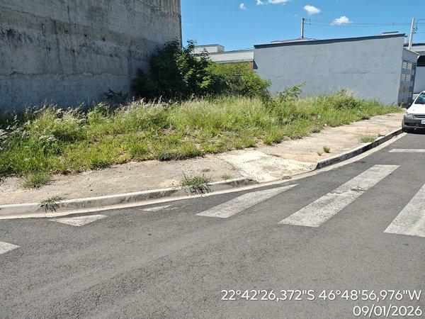 AMPARO – SILVESTRE