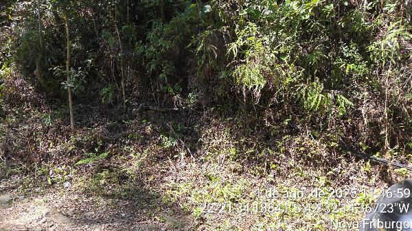 NOVA FRIBURGO – DEBOSSAN