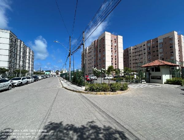 JABOATAO DOS GUARARAPES – CANDEIAS