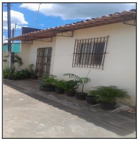 CHA DE ALEGRIA – NOVA CHA DE ALEGRIA