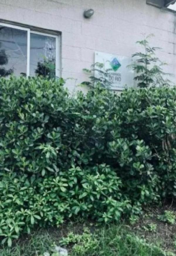 MESQUITA – ROCHA SOBRINHO