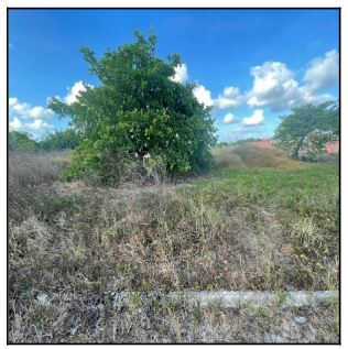 LOTEAMENTO BRISA DO ORIENTE