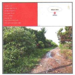 LOT LINO DA SILVEIRA