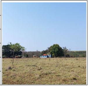 CAMPO GRANDE – CAMPO GRANDE