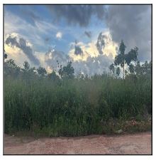 PARQUE MOISES AMORIM