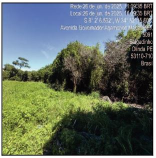 LOTEAMENTO SÍTIO SALGADINHO