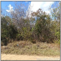 LOTEAMENTO BAIRRO PIONEIRO