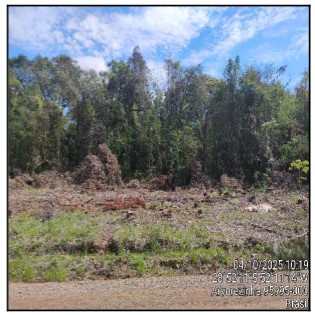 ARVOREZINHA – CENTRO