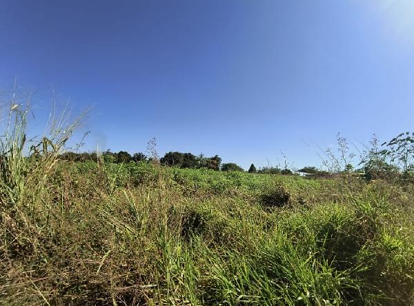 ACAILANDIA – JARDIM BELA VISTA