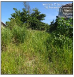 ARARUAMA – PERNAMBUCA (PRAIA SECA)