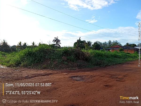 NOVO PROGRESSO – SETOR INDUSTRIAL