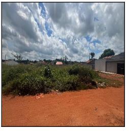 ACAILANDIA – MONTE SINAI