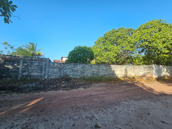 AQUIRAZ – PAU POMBO