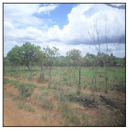 LUZIANIA – PARQUE ALVORADA II