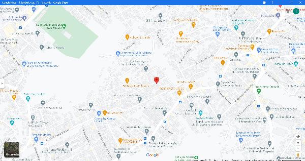 SAO GONCALO – GALO BRANCO