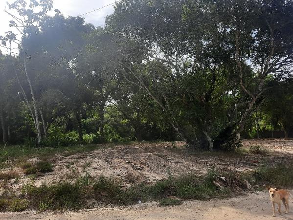 IGUABA GRANDE – LOTEAMENTO CAMPOS VE