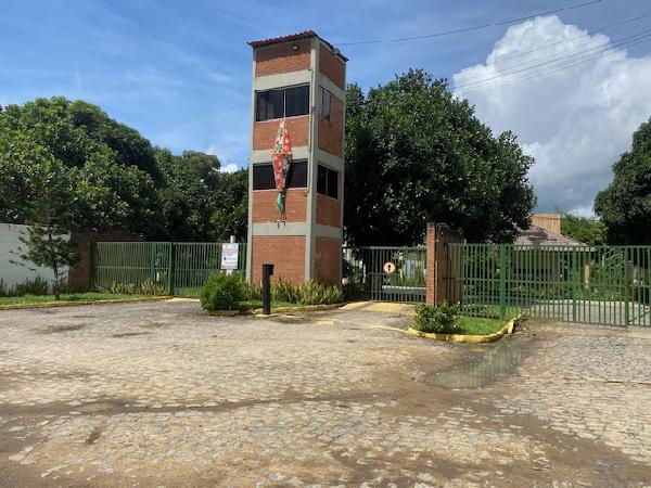 PAUDALHO – CHA DE CRUZ