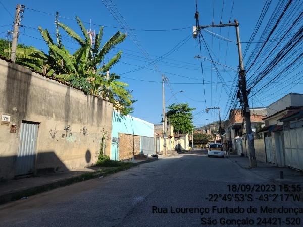 GALO BRANCO  ZONA URBANA