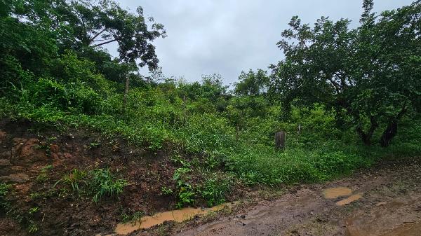 LAGOA DO CARRO – LOT RECANTO CARPINA