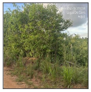 LOTEAMENTO RECANTO CARPINA