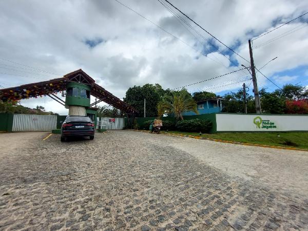 LOT PQ DAS JAQUEIRAS