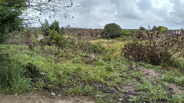 CAMACARI – AREMBEPE ABRANTES