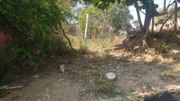 SAO GONCALO – COELHO