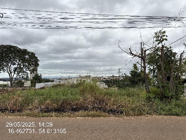 LOT JARDIM GREEN VALLEY