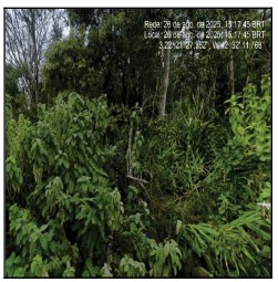 NOVA FRIBURGO – DEBOSSAN