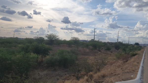 LOT SEBASTIÃO RODRIGUES DE FIGUEIREDO