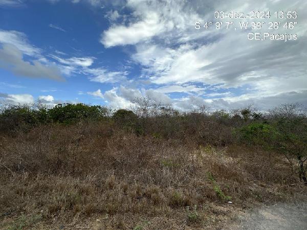 PLANALTO DAS ESTRELAS