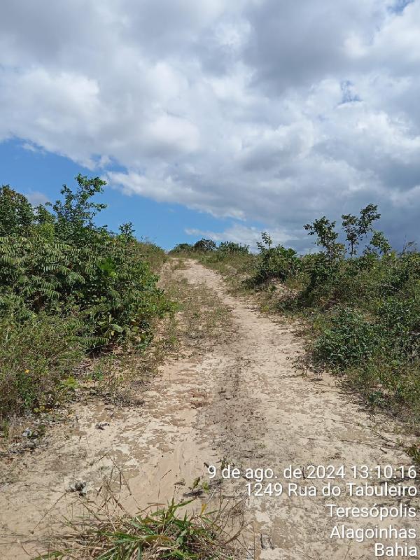 ALAGOINHAS – NOVA BRASILIA