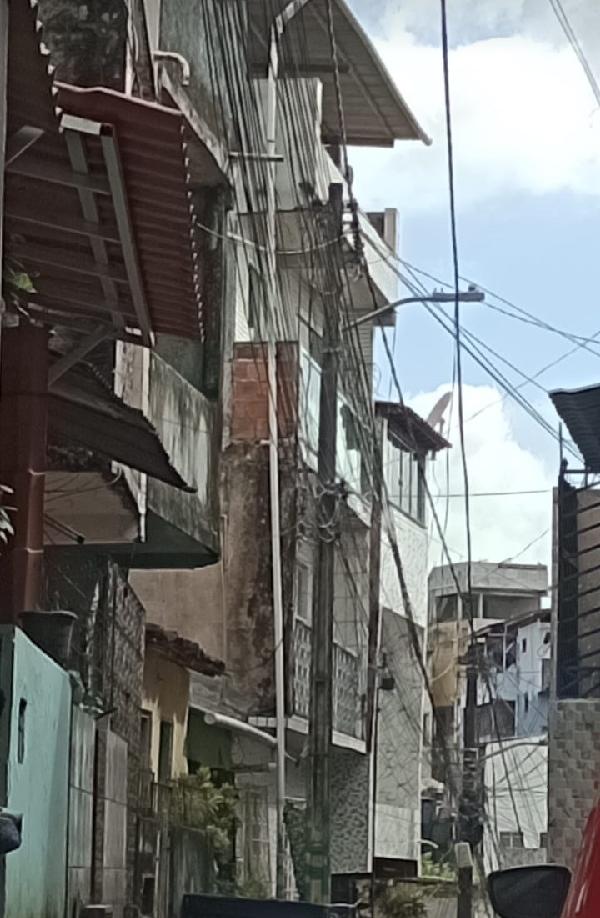 SALVADOR – PAU MIUDO