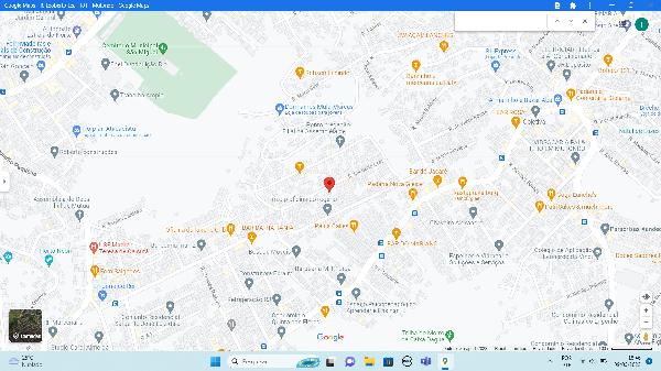 SAO GONCALO – GALO BRANCO