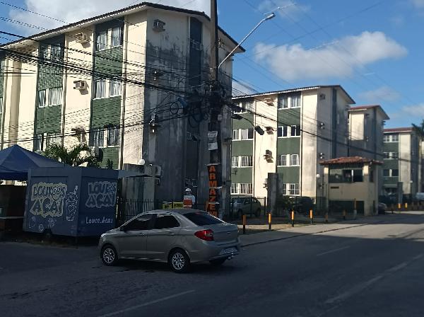 BOSQUE DAS PALMEIRAS