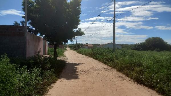 CARNAUBAIS – CASINHAS