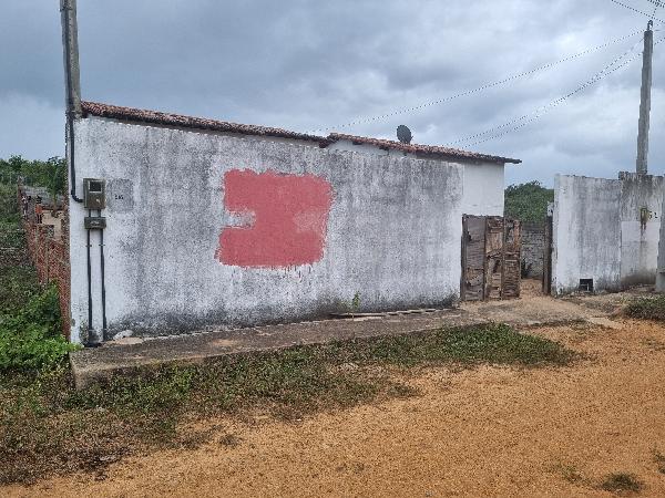 CARNAUBAIS – CASINHAS