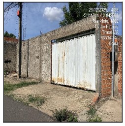 TIMON – CINTURAO VERDE